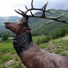 /product-detail/outdoor-yard-lawn-decoration-casting-bronze-life-size-bronze-deer-sculpture-60723015665.html