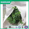 [FACTORY ] BSCI nonwoven plant cover agriculture pp nonwoven fabric