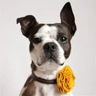 Small Tiny Puppy Pet Dog hair bows for dog