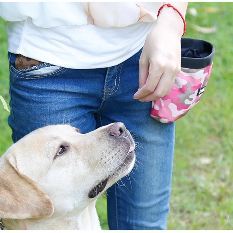 dog treat pouch 9.jpg
