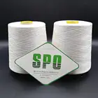 580~680 Twist and Ring Spun Technics Mulberry Silk Yarn 120Nm/2 for Women Dress