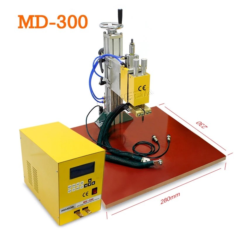 MD300_2_4.jpg