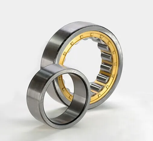Bearing NU