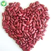 Wholesale Dried Small Dark Red Kidney Beans Price