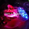 Wedding Gifts For Guests China Wholesale Flora Craft Dual Submersible Led Lights