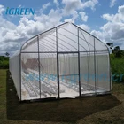 Cheap plastic film greenhouse for vegetable