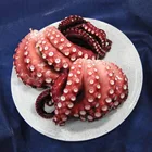 The IQF Frozen clean Cooked Seasoned Octopus Salad