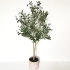 61'' Tall Artificial Olive Tree with Burgeoning Fruits and Thick Leaves for Indoor Decor and Ceremony