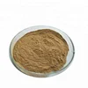 /product-detail/100-pure-natural-yerba-mate-extract-paraguay-tea-extract-powder-62031376846.html