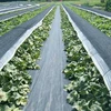 Agricultural Black PP plastic ground cover for greenhouse