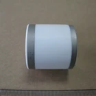 Customized Advanced Metalized Vacuum Ceramic Parts for Brazing with Metal