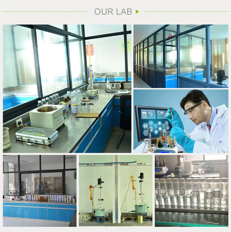 In Stock TMPTMA 3290-92-4 Trimethylolpropane Trimethacrylate for UV Ink