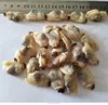 high quality frozen short necked clam seafood clam meat