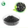 /product-detail/chinese-organic-black-goji-berry-powder-black-goji-berry-extract-62013029059.html