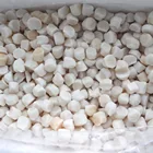 HACCP Frozen Meat Good Price Fresh Frozen Bay Scallop Meat