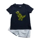 Hot sale summer fashion sport clothing set boy cartoon dinosaur shirt and seersucker short beach set