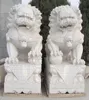 /product-detail/marble-lion-statues-manufacture-of-china-60277007042.html