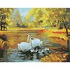Hot sale good prices swan picture canvas painting by numbers