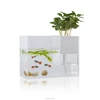 /product-detail/multifunction-acrylic-flower-pot-fish-aquarium-tank-60322433689.html