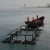 /product-detail/eco-hot-sale-aquaculture-equipment-marine-and-offhsore-hdpe-floating-square-rectangle-shape-fish-farming-in-deep-water-60806863038.html