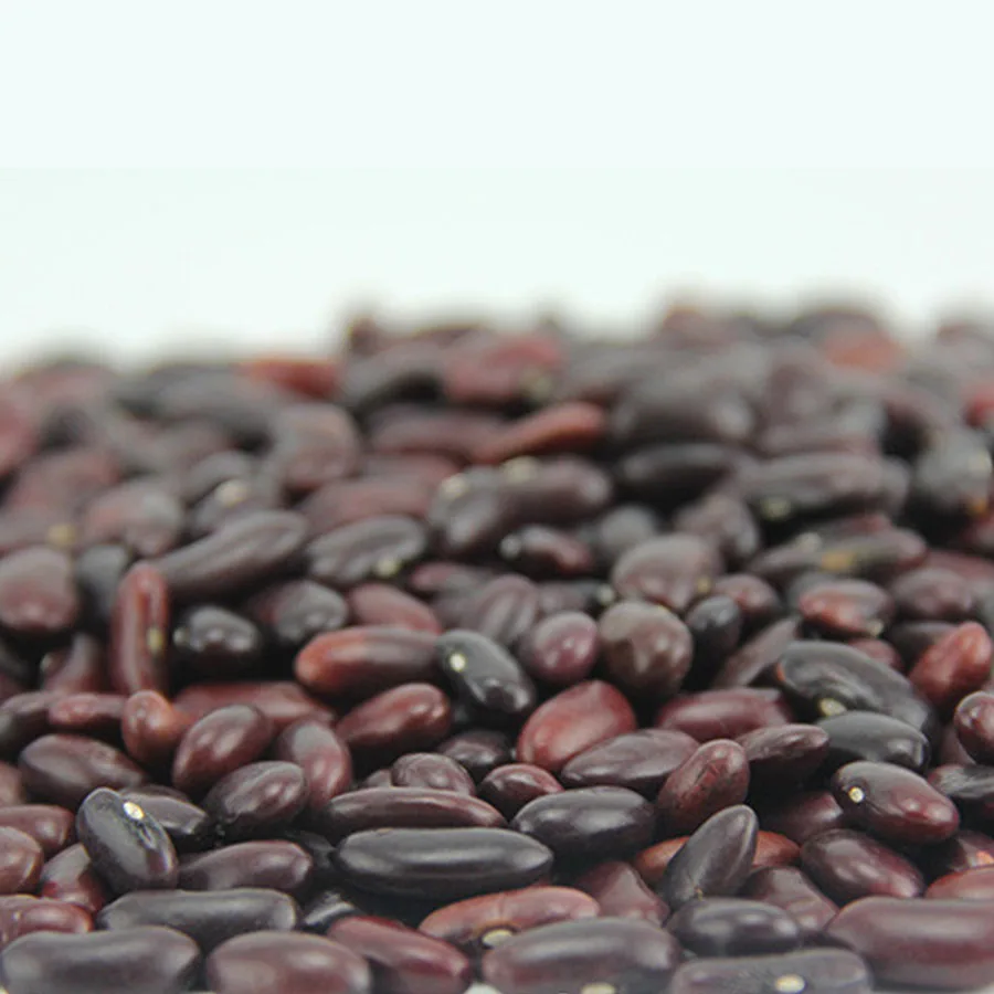 Wholesale beans Long shape dark red kidney beans