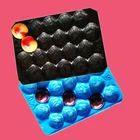 SGS FDA Approved Disposable Customed Size and Color PP Plastic Fruit Tray