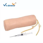 Medical Advanced Elbow Venipuncture Training model