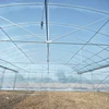commercial used industrial multi span green house for vegetables