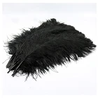 Factory Wholesale All size black ostrich feathers