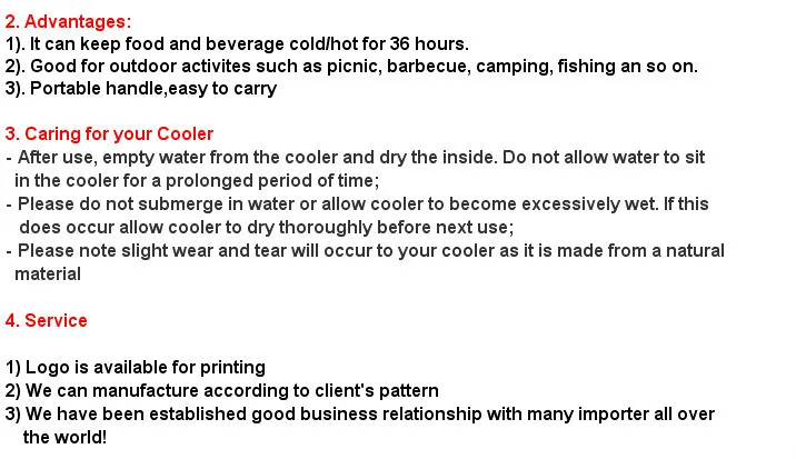 2018 fashionable portable nice cooler box