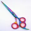 Dressing shears hair scissors hair dressing scissors shears 5.5cm Brushed Stainless Steel include deluxe hair cutting Scissor.
