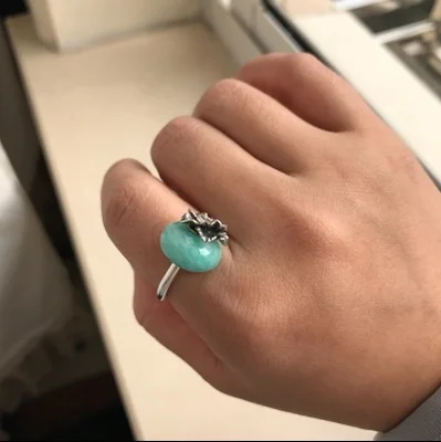 New High Quality Troll Style 925 Sterling Silver Unisex Size rings For Women Girl Charm Bead DIY Jewelry Gifts (5)