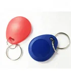 custom logo Printing 1k keychain tagrfid nfc key fob