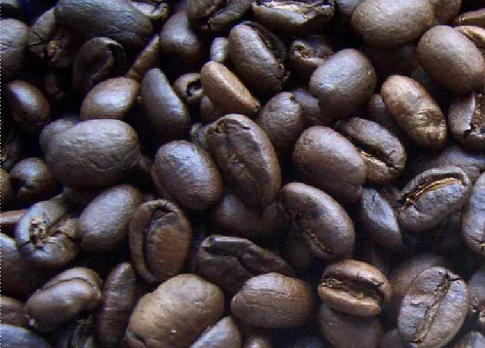 Coffee bean