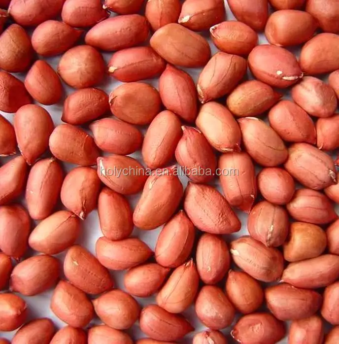 hot sale high quality indonesian peanuts