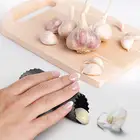 Kitchen Tool Garlic Peeler Brush Stainless Steel Garlic Press