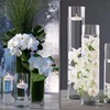 /product-detail/hot-sale-factory-beautiful-large-tall-slim-clear-cylinder-glass-vase-for-decor-1076888288.html