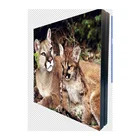 Good quality indoor/outdoor p5 p6 p8 p10 led display screen modules/led video wall for advertising