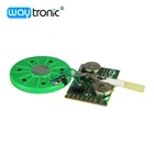 OTP custom 40s 80s sound music ic chip for electronic greeting cards