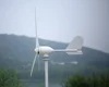 Customized Power Small Wind Turbine 500w