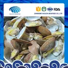 Boiled Short Neck Clam Nature Fresh FAO61