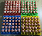 Egg Tray In Tray Stackable Plastic Tray Hot Sale Stackable Egg Tray Plastic Egg Tray In Color With Free Sample