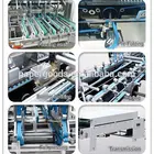 Automatic molding pulp paper box tray equipment / industrial packing machinery