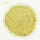 100% Natural Moringa Oleifera Leaf Extract Powder Moringa Leaf Extract