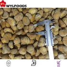 Common Chestnut Price Wholesale Frozen Chestnut Good Quality Best Price