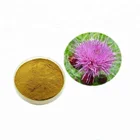 Pharmaceutical Grade Silymarin Powder / Milk Thistle Extract