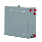 Hammam Cheap Sauna Room Products, Sauna Heater Steamer