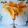 wholesale wedding decoration 60-65cm large ostrich feathers for sale Different Colours Carnival gold Ostrich Feathers