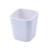 Various design small cup cactus succulent dolomite ceramic flower pots for home decoration and garden