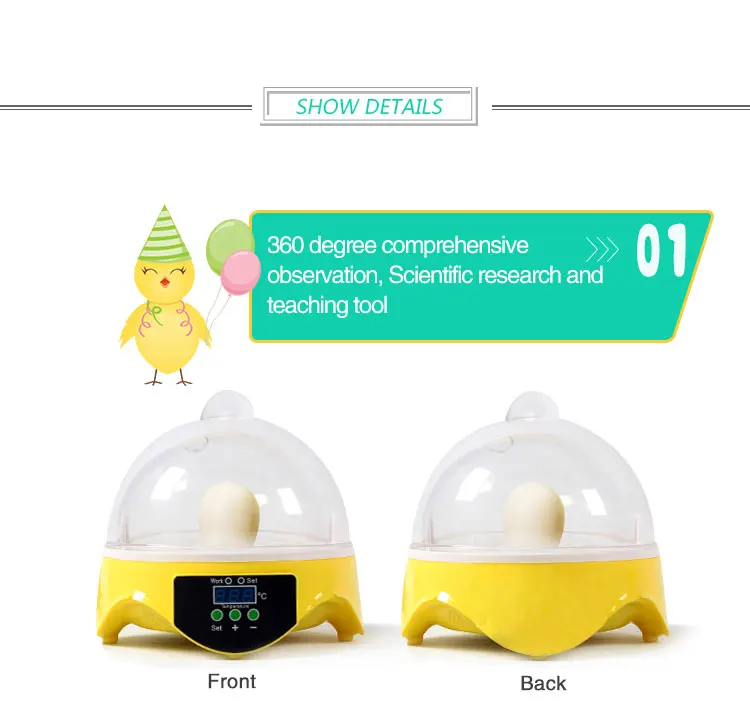 Eggs Small Lab&amp;children Used Mini Egg Incubator For Sale - Buy Egg 